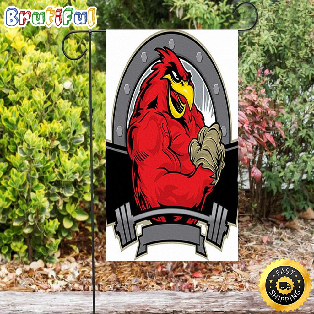 Nfl Garden Flags Arizona Cardinals Iron Cardinals Strong Double Sided Printing Garden Flag Cardinals Garden Flags 1 hgay5p