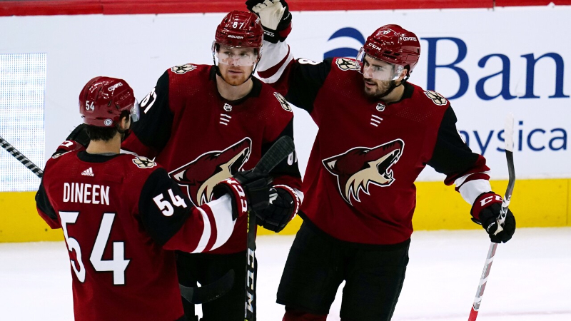 Arizona Coyotes