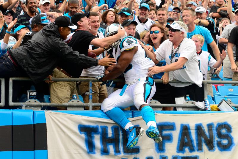 Carolina Panthers Fans