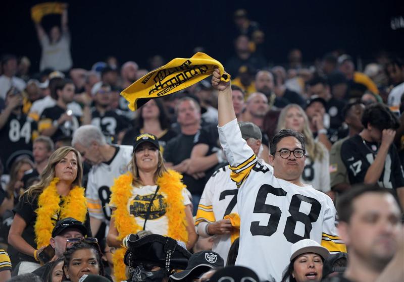 Pittsburgh Steelers Fans