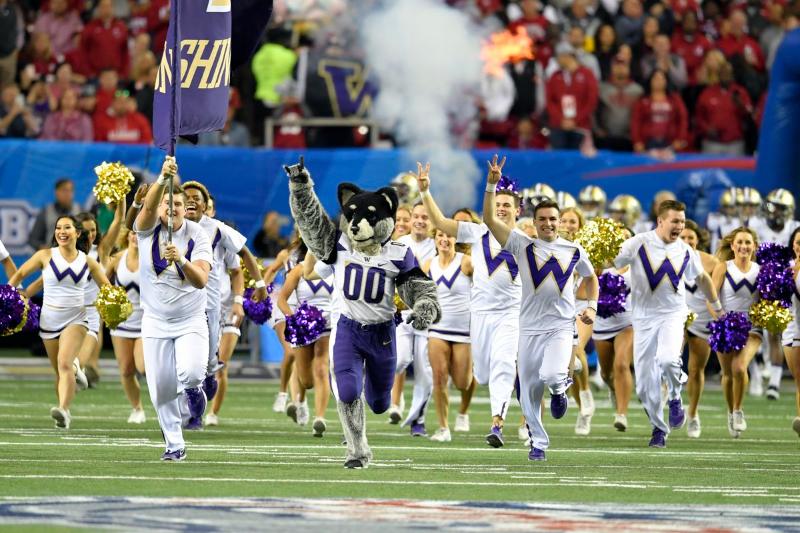 Washington Huskies Fans