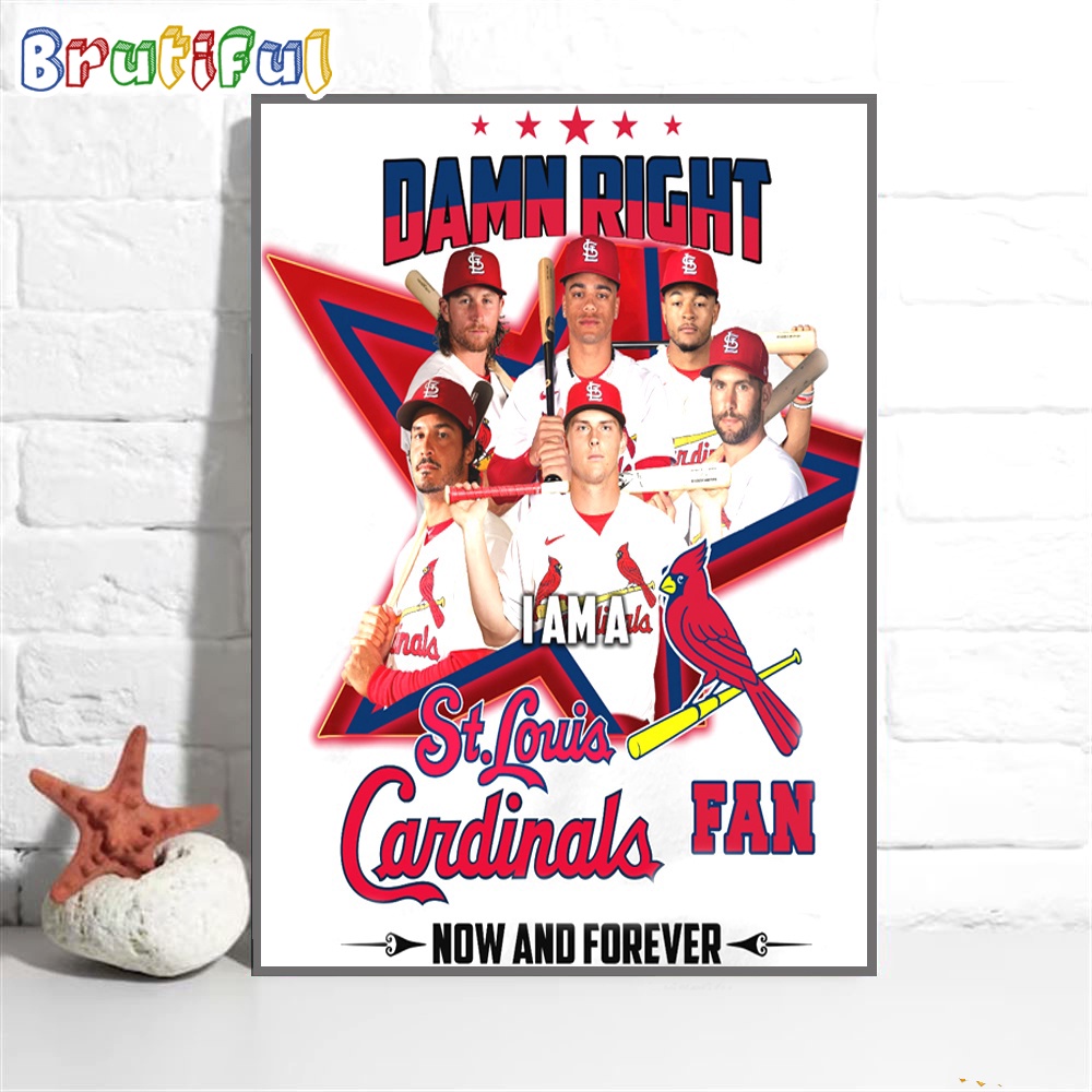 Damn Right I Am A StLouis Cardinals Fan Forever Wall Art Poster Canvas