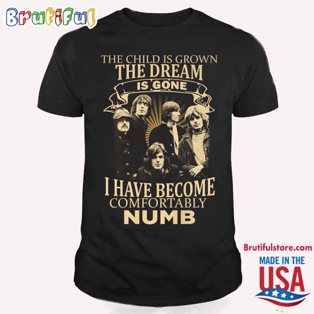 The Child Is Grown The Dream Is Gone I Have Become Comfortably Numb ACDC T Shirt