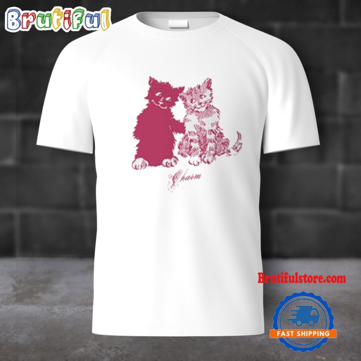 Clairo Charm Tシャツ 完売品 Clairo-Charm-Friends-2024-T-